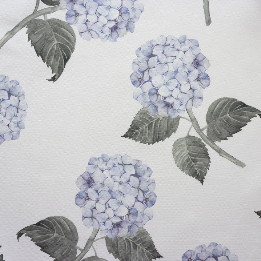 Hydrangea Bloom