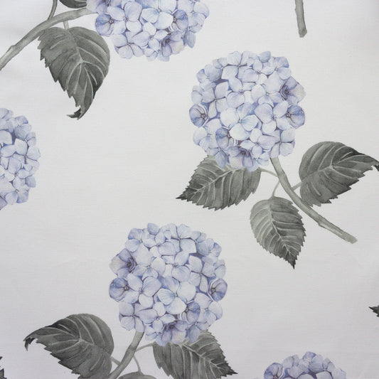 Hydrangea Bloom
